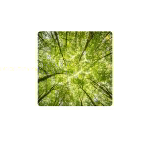 Copy of Duke Case Studies-1