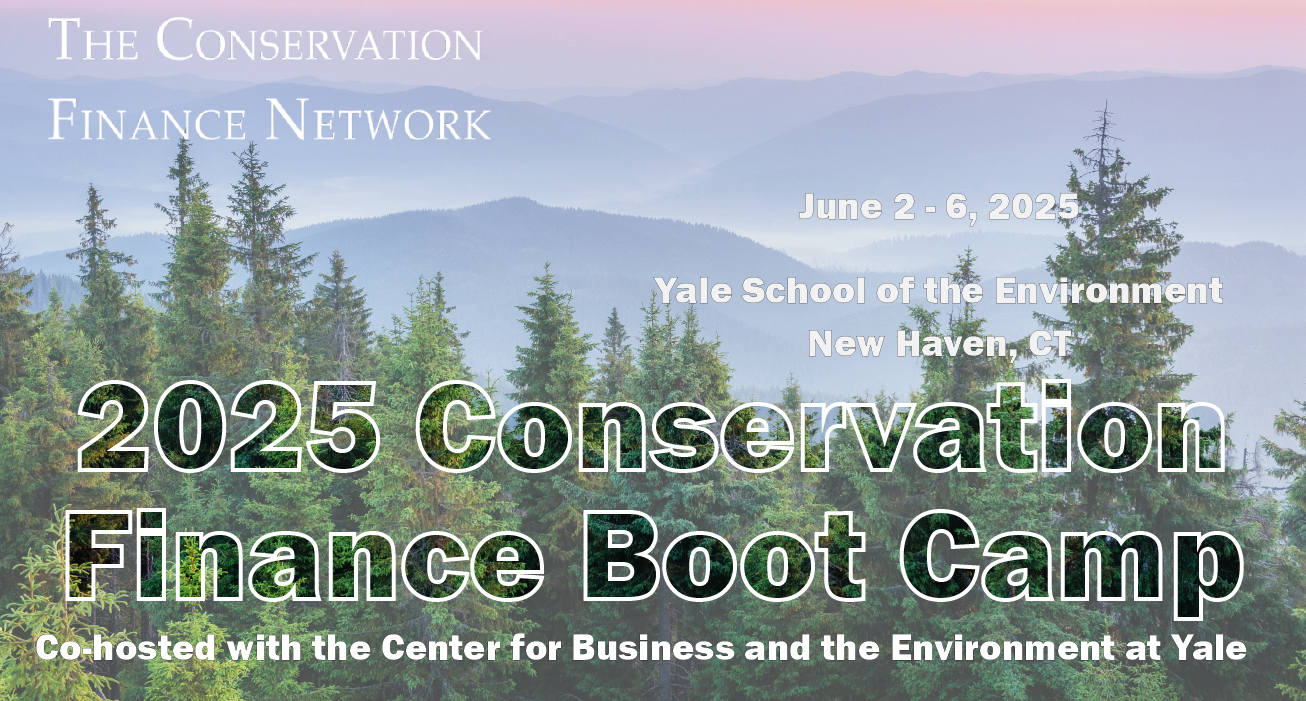 Boot Camp Email Header Image application